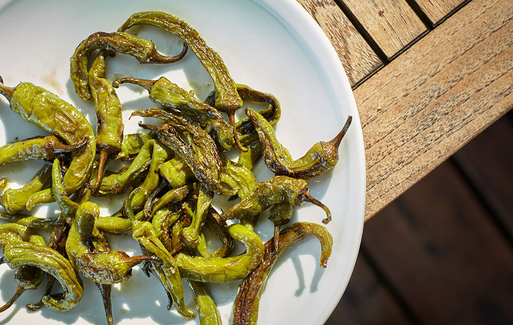 Cuisine-pimientos-plancha-forge-adour