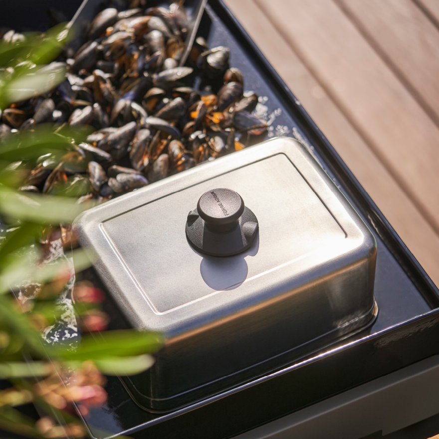 Cuiseur & Grille Titane