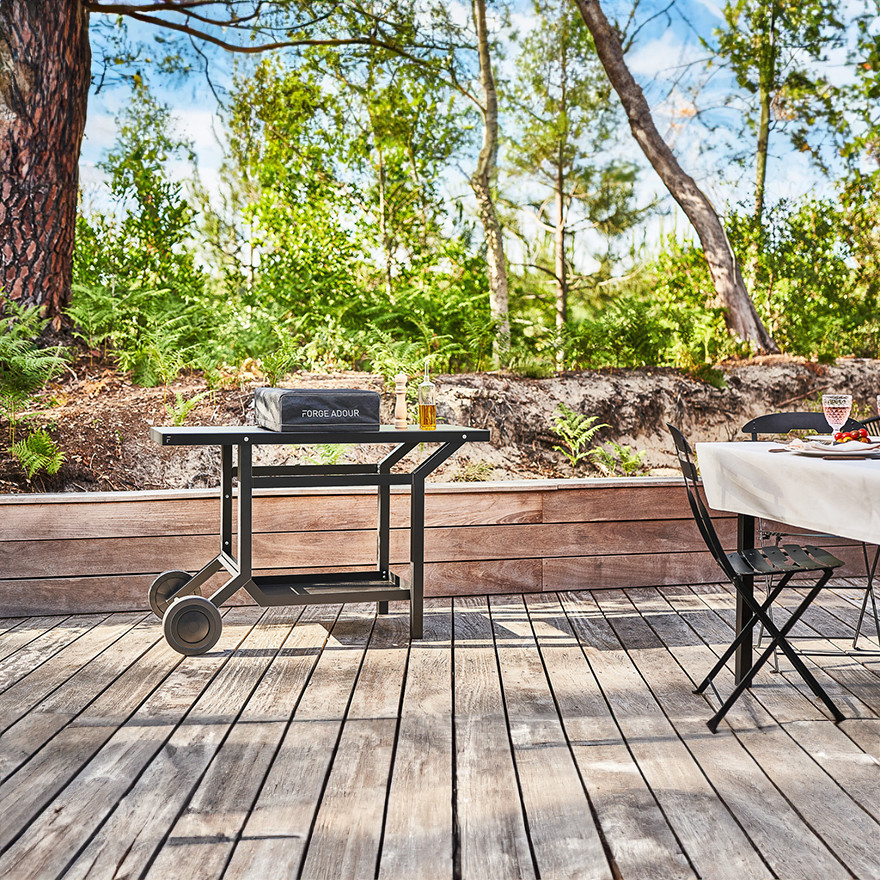 Plancha Cooking Hoes I Forge Adour